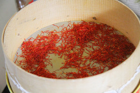  برداشت زعفران از روستای طرق رود-نطنز‎ 