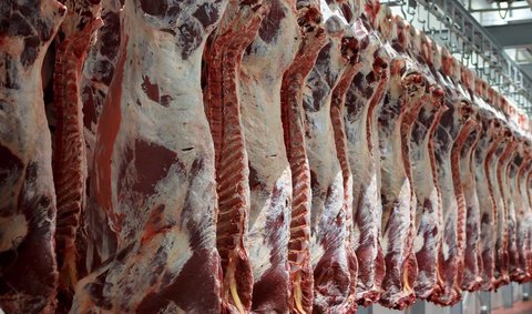 افزایش ۱۰۰۰ تومانی قیمت گوشت قرمز در بازار/گوشت ارمنستان به اصفهان نرسید