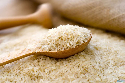 تخلیه ۱۸۰ هزار تن برنج هندی و تالندی در هرمزگان