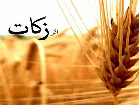۹۱ درصد زکات در حوزه محرومان و معیشت آنان مصرف میشود