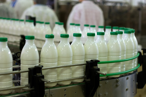 تولید ۵۵۱ هزار تن شیر در قزوین / ۷۰ درصد شیر خام استان صادر می‌شود