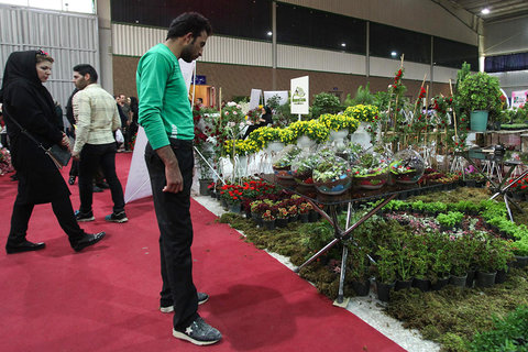 هفدهمین نمایشگاه بین‌المللی گل و گیاه مشهد برگزار می‌شود