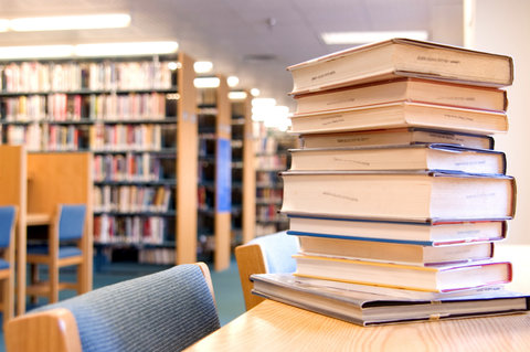 کتابخانه‌ها بستر فرهنگی لازم را برای جذب گردشگر دارند
