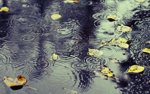 رشد یک درصدی بارش ها در سال آبیِ جاری/۱۵۴ میلیمتر بارش در حوضه فلات مرکزی