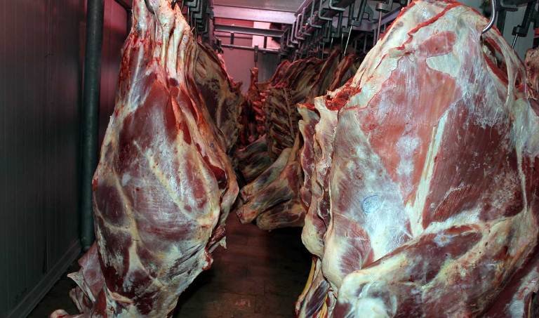 واردات گوشت قرمز تا به ثبات رسیدن قیمت‌ها ادامه دارد