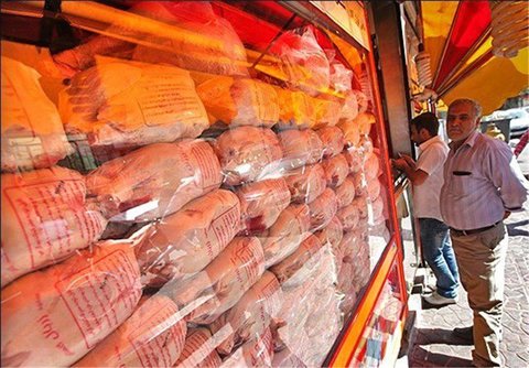 توزیع ۱۳۳۰ تن مرغ منجمد در سطح استان