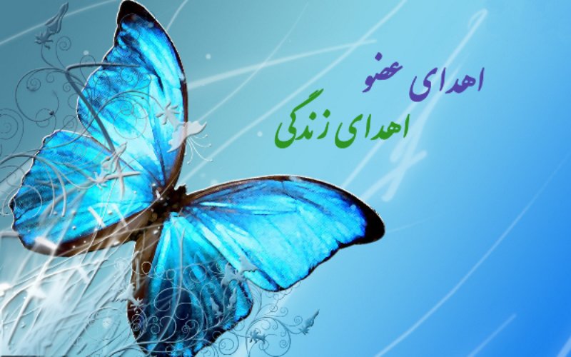 برگزاری مراسم روز "اهدای عضو، اهدای زندگی" در آرامستان بهشت رضا (ع)