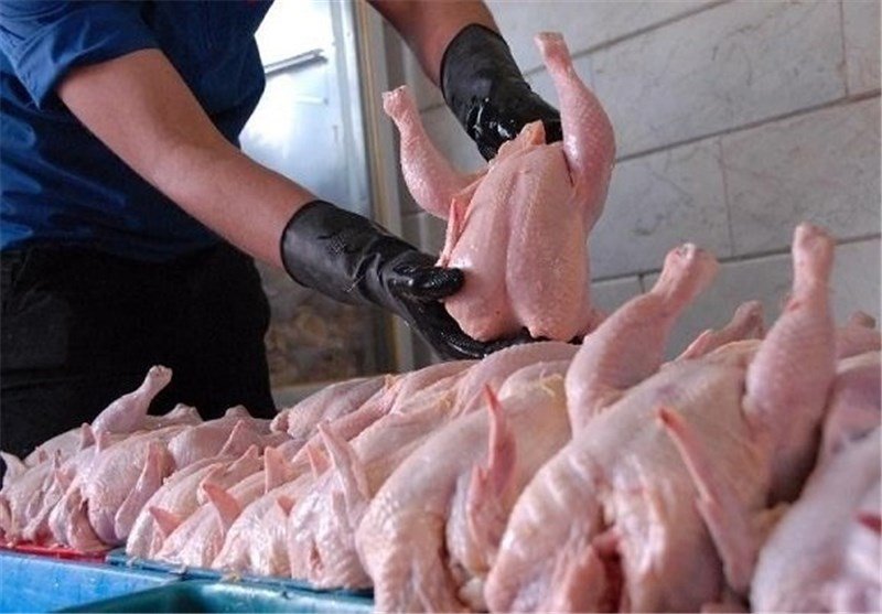 کاهش قیمت‌ مرغ ناشی از جوجه‌ریزی‌های اخیر بود/نرخ ۷۲۰۰ تومانی مرغ در اصفهان