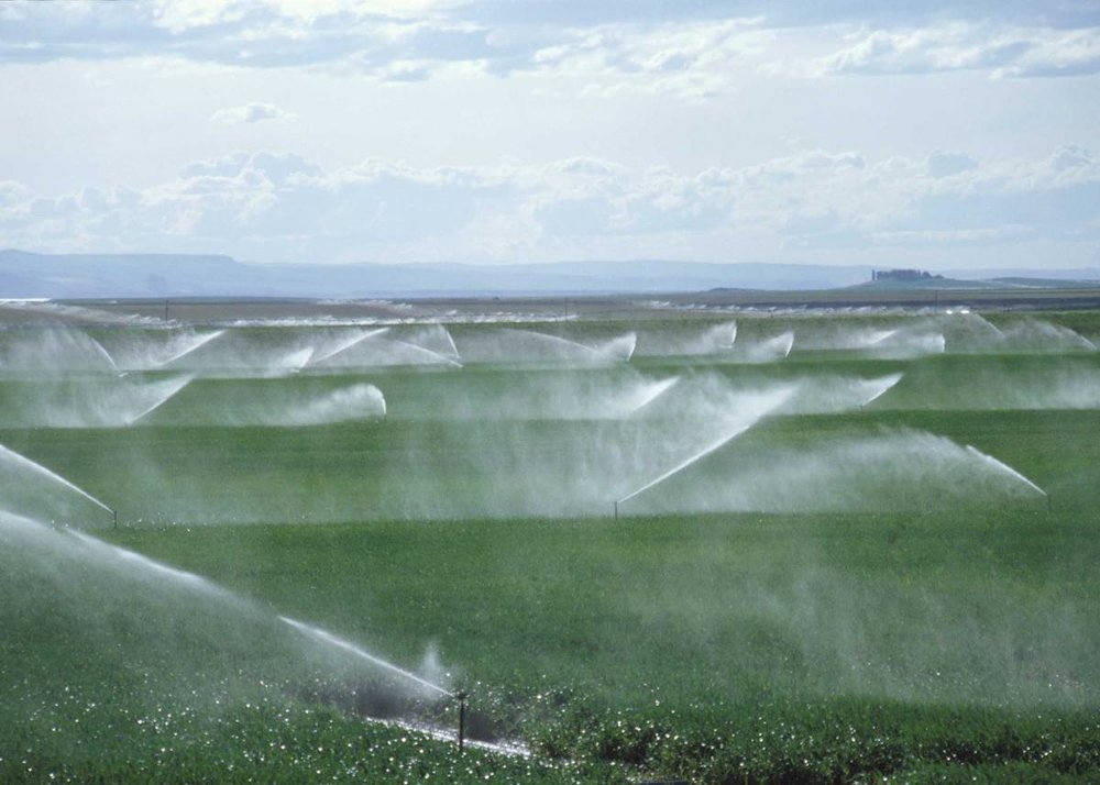 افزایش بهره‌وری آب در بخش کشاورزی استان اصفهان