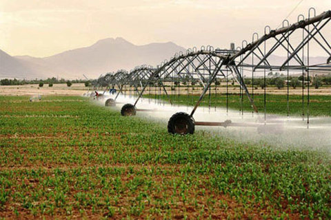 صرفه‌جویی ۲۳۳ میلیون لیتری مصرف آب با راه‌اندازی سیستم آبیاری تحت‌فشار 