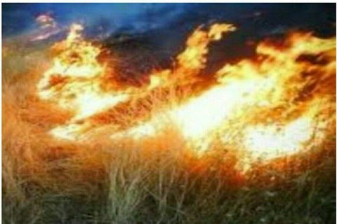 مهار ۲ آتش سوزی در مراتع فریدونشهر و شهرک صنعتی کوهپایه