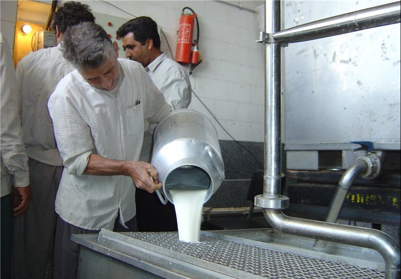 فروش شیر خام در واحدهای لبنیاتی اصفهان غیر قانونی است