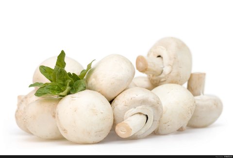 خاصیت‌های دارویی قارچ سفید برای سلامتی بدن چیست؟  