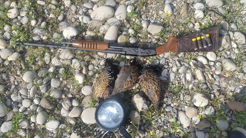 متخلفان شکار منطقه کرکس همراه با 2 قبضه اسلحه دستگیر شدند