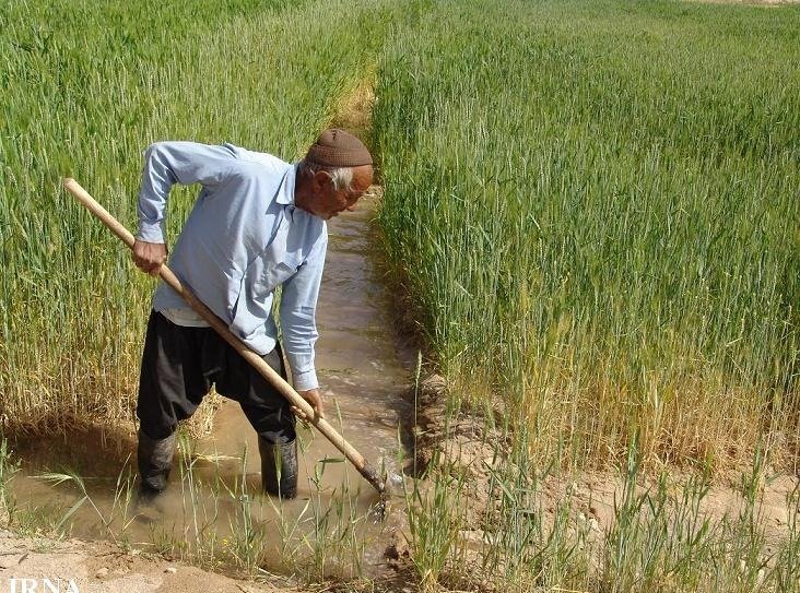 کشاورزان اصفهان تا ۱۵ شهریورماه با دبی مشخص ۲۰ روز در ماه آب می‌گیرند