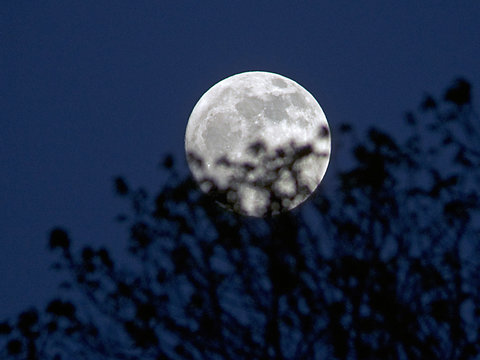 امشب ماه در وضعیت "حضیض زمینی" قرار می‌گیرد