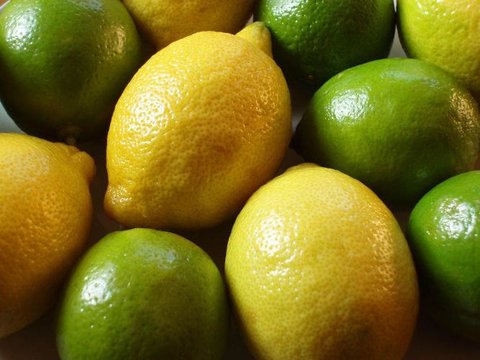 بیش از ۸۰۰۰ تن لیمو ترش از باغات جنوب استان برداشت شده است 