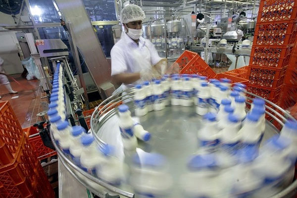 پنج سال تا ورود به بحران کاهش ۴۰ درصدی تولید شیر/قفل منابع یارانه‌ای شیر باز شود