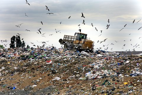 شهرداری سقز از سرمایه‌گذار طرح جمع‌آوری و بازیافت زباله حمایت می‌کند