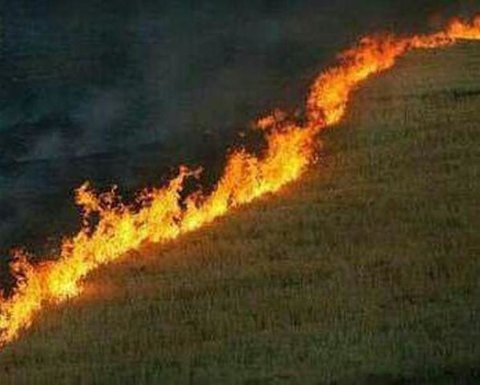 ۱۰ هکتار از مراتع مجاور روستای اوره نطنز در آتش سوخت