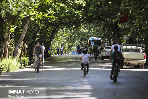 car-free tuesday ICFF