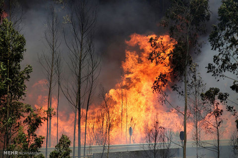 آتش‌سوزی در مراتع دالانکوه/ شنا در زاینده‌رود ممنوع است