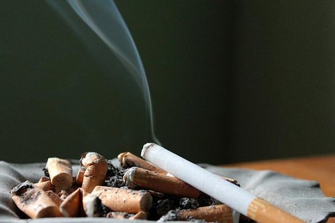 طرح "جمع آوری فیلتر سیگار" در شهر بوشهر اجرا می‌شود