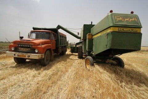 توزیع ۱۳۵ تن بذرگواهی شده گندم وجو بین کشاورزان دهاقانی