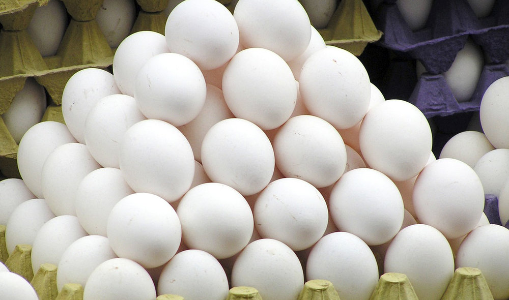 ۱۴ هزار تن تخم مرغ از ابتدای سال صادر شد