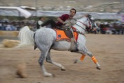 سمفونی رخش و نقش در دشت دامنه+ تصاویر