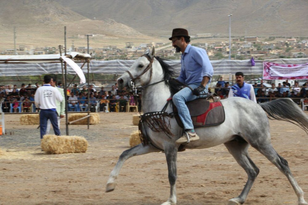 جشنواره ملی اسب و سوارکاری در زرین شهر برگزار شد