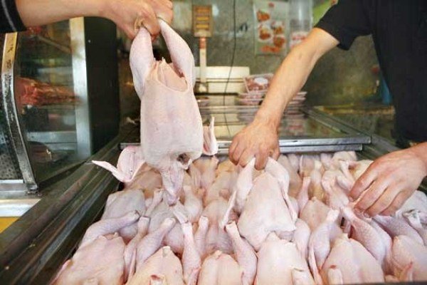 مرغ گرم ارزان شد/کاهش ۱۶۰۰ تومانی قیمت مرغ نسبت به ماه گذشته
