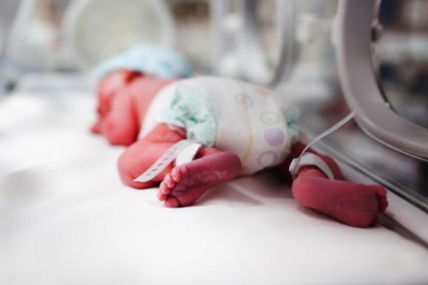 ارائه مشاوره ژنتیک از تولد ۱۰۰۰ کودک معلول جلوگیری کرد