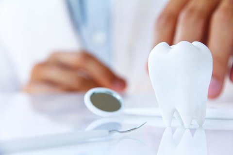 سلول‌های بنیادی پالپ دندان چیست و چه کاربردی دارد؟