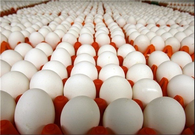 ۶۰ تن تخم‌مرغ وارد کشور شد