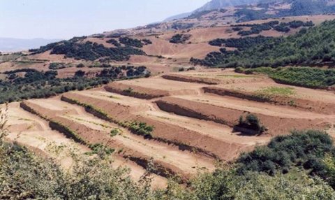 خسارت ۱۴ درصدی سالانه فرسایش خاک درآمد ناخالص ملی