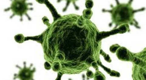 گونه لامبدا ویروس کرونا در اسپانیا گسترش یافت