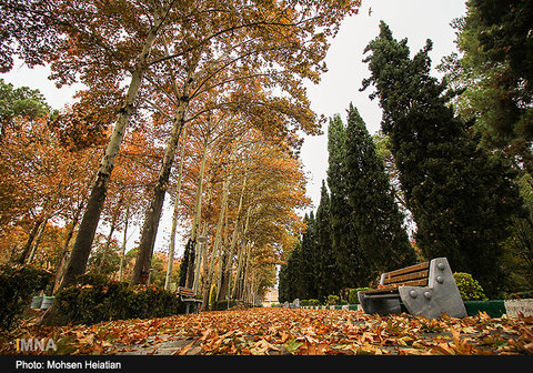 Fall in Isfahan 