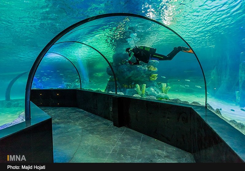 Isfahan Najvan aquarium offers discount for Sunday visits