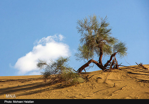 Khara desert