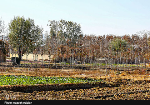 Autumn in Najvan