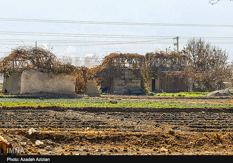 Autumn in Najvan