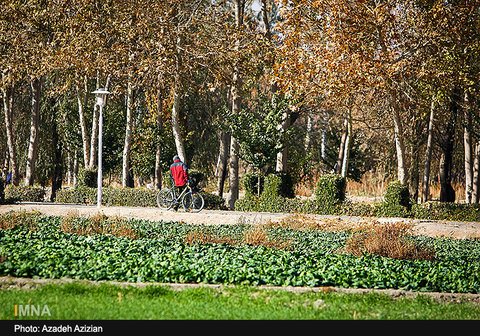 Autumn in Najvan