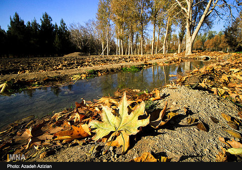 Autumn paints on Najvan's canvas/ photos presentation  