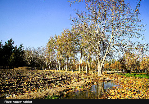 Autumn in Najvan