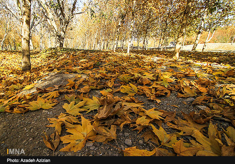 Autumn in Najvan