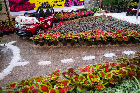 Plant Market in eastern Isfahan meets world latest technology 
