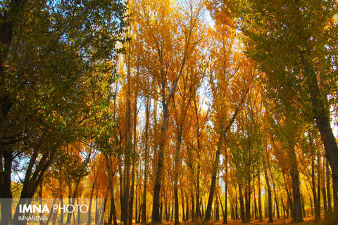 Autumn/ Semirom, Isfahan 
