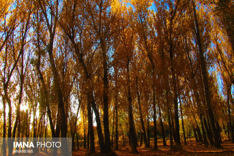 Autumn/ Semirom, Isfahan 