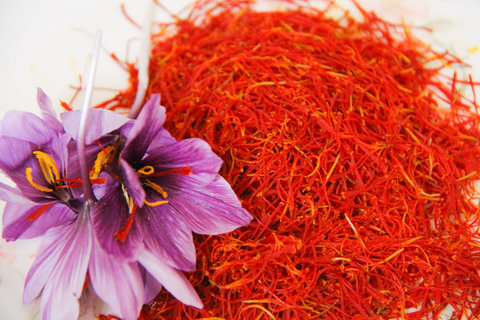 Harvesting 300 kilograms saffron predicted in Golpayegan
